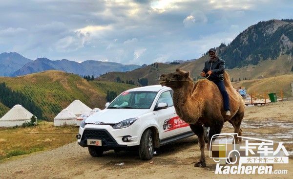 江鈴域虎與駱駝