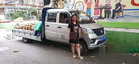 福田祥菱 V3載貨車