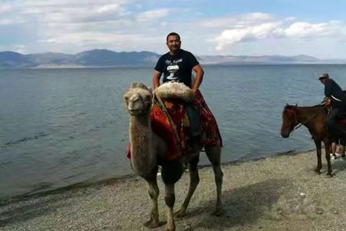 大運(yùn)重卡,N8V,牽引車