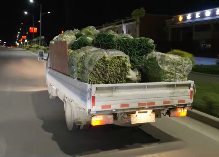 每公里低至0.3元,東風途逸T5 CNG 帶來美好生活