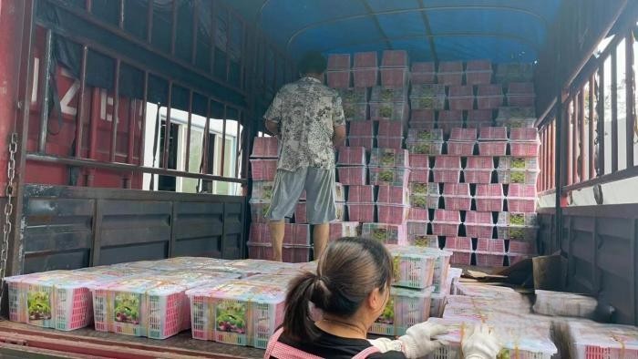 90后年輕用戶工作休閑兩不誤 開德沃斯能跑綠通還能去釣魚？