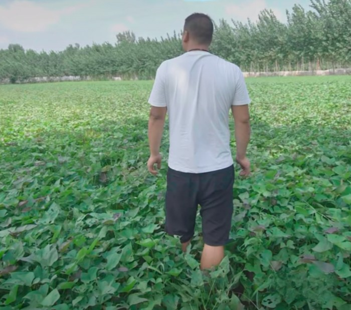 東風小霸王W15，帶他踏上豐收后的坦途